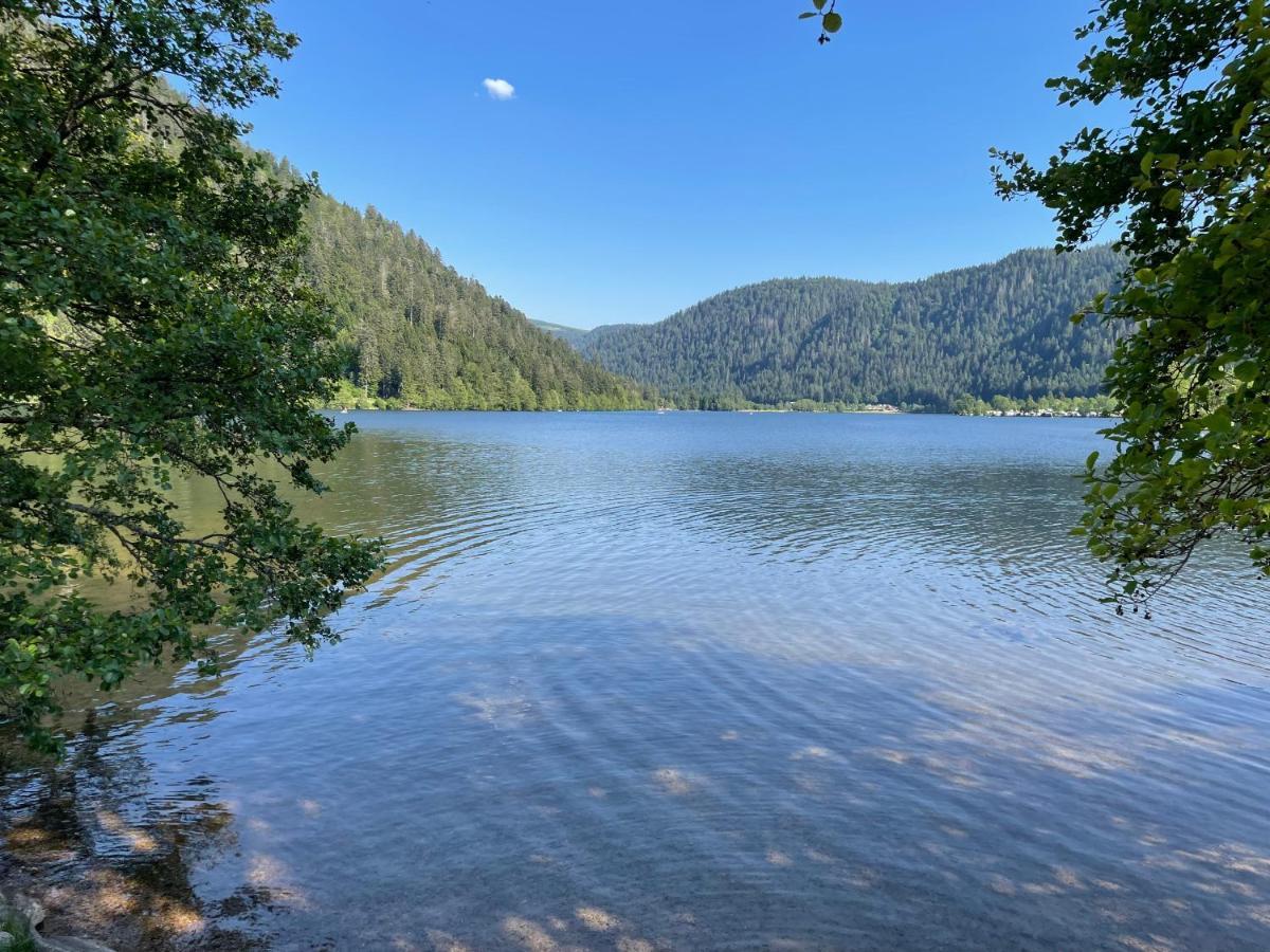 Le Chalet Blanc De Gerardmer Avec Spa エクステリア 写真